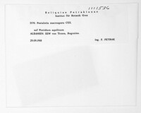 Image Associated With the Occurrence